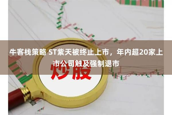 牛客栈策略 ST紫天被终止上市，年内超20家上市公司触及强制退市